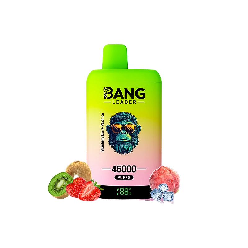 Bang Leader 45000 45K Puffs Double Taste LED Display Rechargeable Disposable Vape EU Warehouse - Image 7