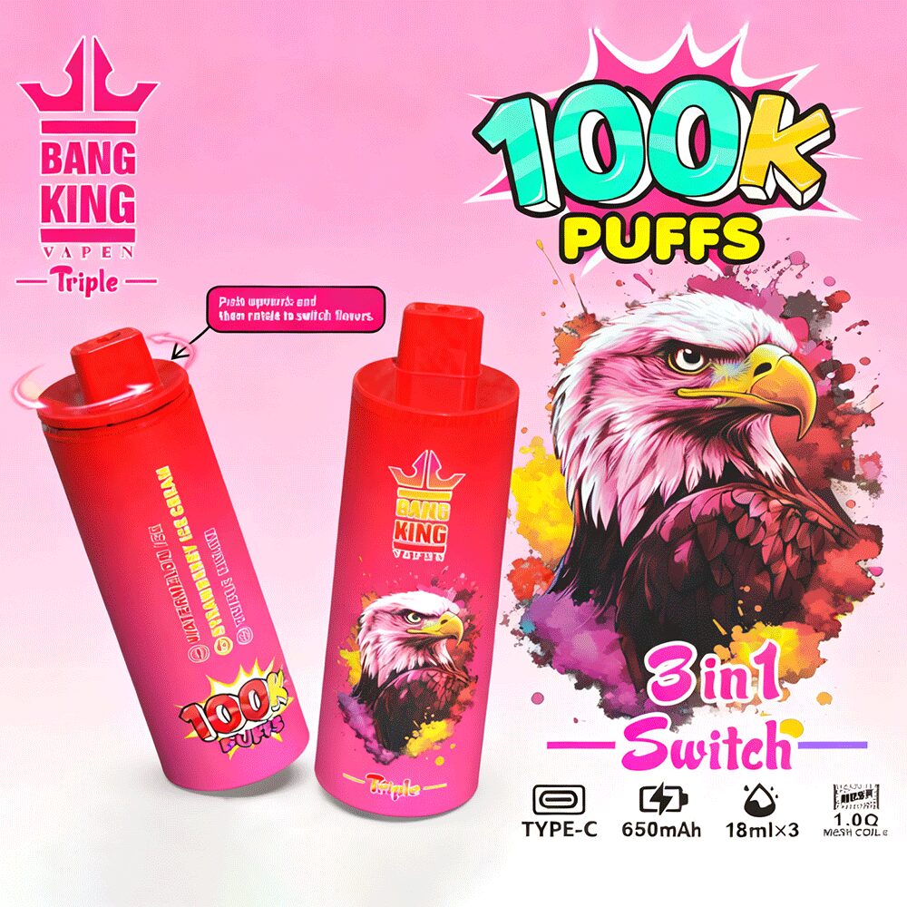 Bang King Triple 100000 100K Puffs 3 in 1 Flavors Original Rechargeable Disposable Vape - Image 21