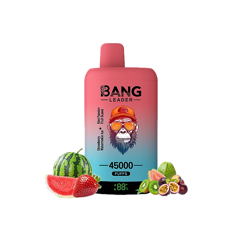 Bang Leader 45000 45K Puffs Double Taste LED Display Rechargeable Disposable Vape EU Warehouse - Image 5