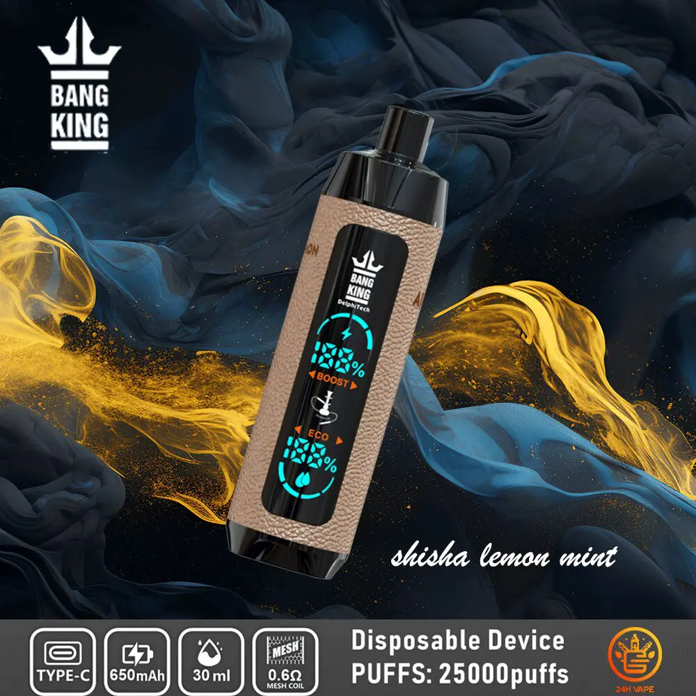 Bang King Shisha 25000 25K Puffs Newest LED Display Leather Disposable Vape Pen - Image 6