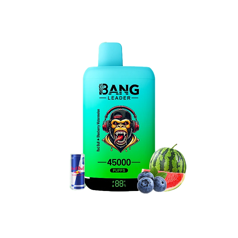 Bang Leader 45000 45K Puffs Double Taste LED Display Rechargeable Disposable Vape EU Warehouse - Image 9