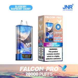 🍓🍇❄️JNR Falcon Pro 28000Züge- Einweg-E-Zigarette 🚀