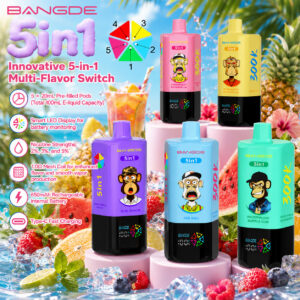 Bang DE 300K 300000 Vape 5-in-1 Flavors Rechargeable LED Display Disposable E-Cigarette
