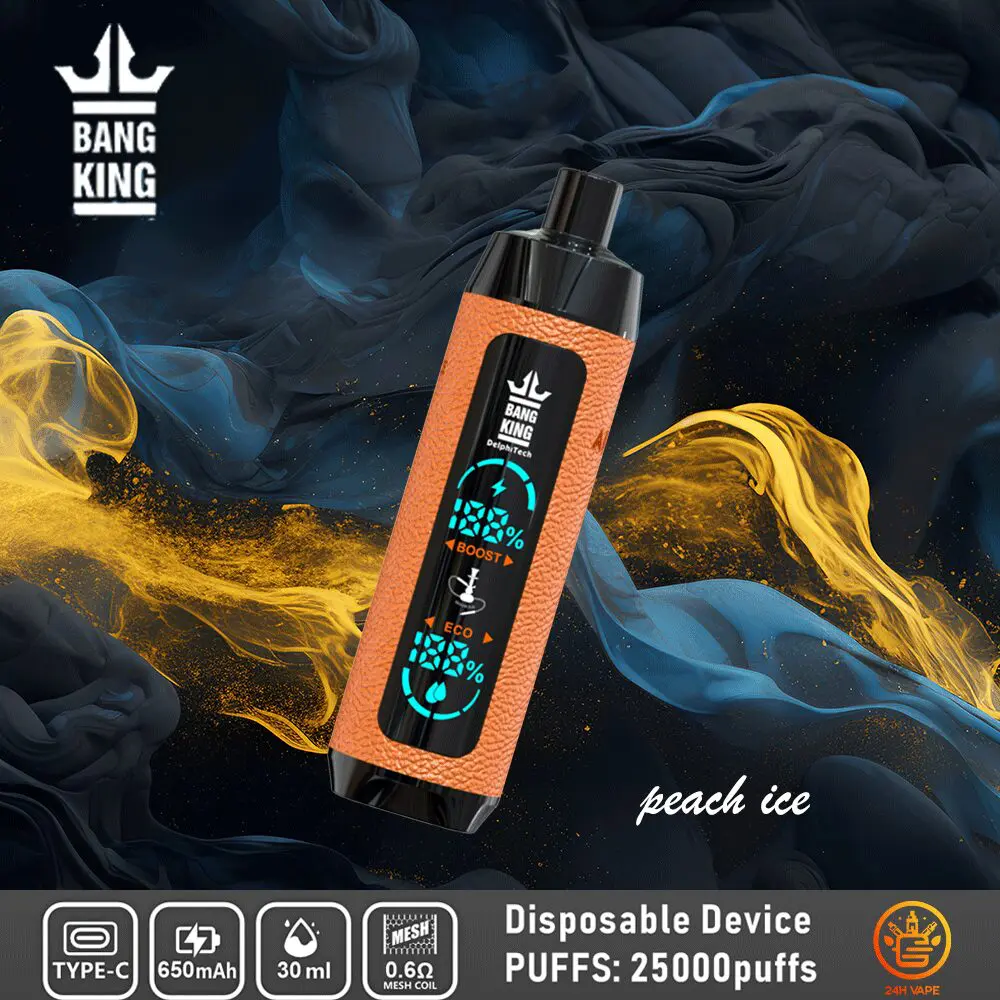 Bang King Shisha 25000 25K Puffs Newest LED Display Leather Disposable Vape Pen - Image 8