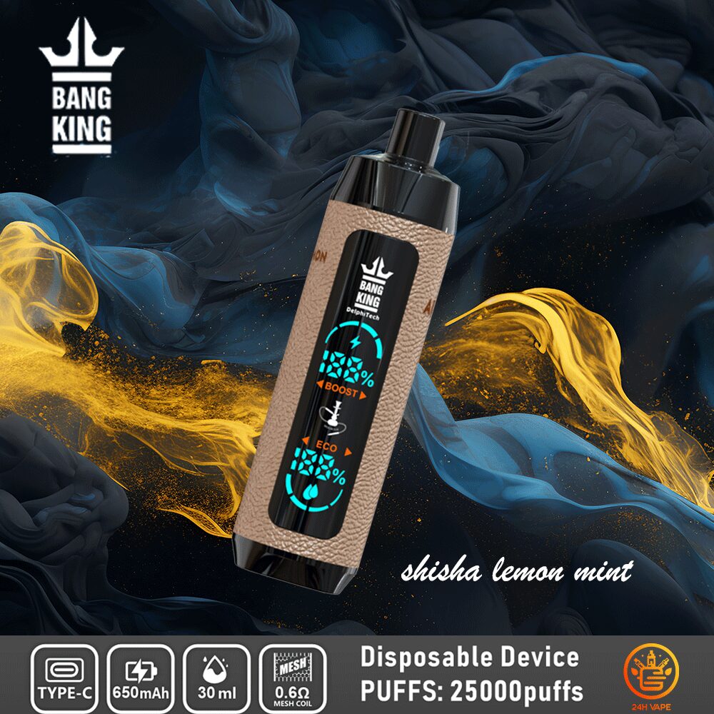 Bang King Shisha 25000 25K Puffs Newest LED Display Leather Disposable Vape Pen - Image 5