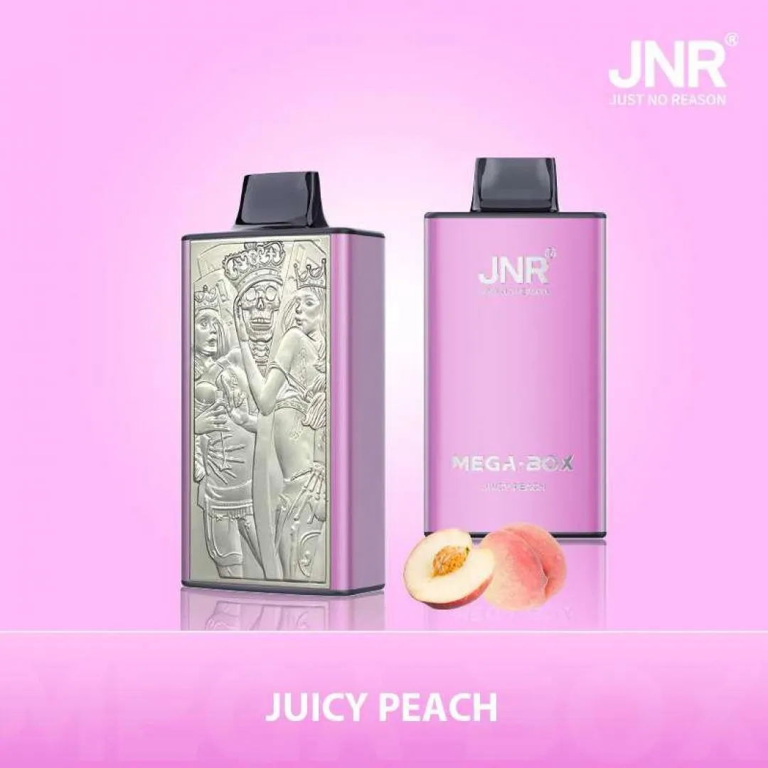 JNR Mega Box 25000 Puffs Original Edition Rechargeable Disposable Vape - Image 14