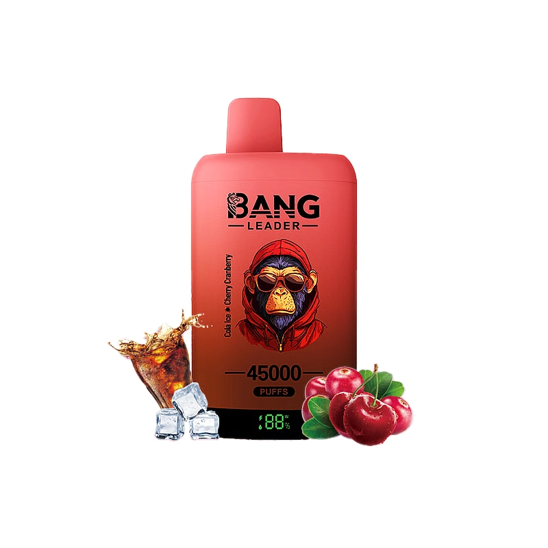Bang Leader 45000 45K Puffs Double Taste LED Display Rechargeable Disposable Vape EU Warehouse - Image 11