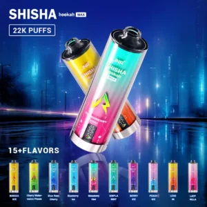 JNR Shisha Max 22000 Puffs Disposable Vape