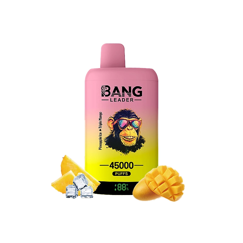 Bang Leader 45000 45K Puffs Double Taste LED Display Rechargeable Disposable Vape EU Warehouse - Image 10