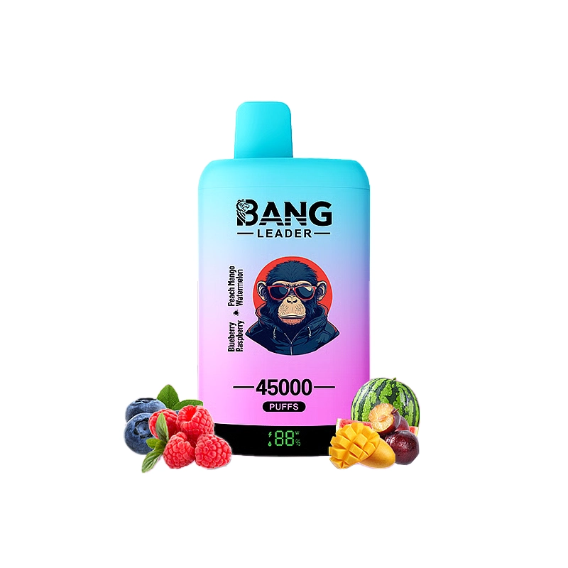 Bang Leader 45000 45K Puffs Double Taste LED Display Rechargeable Disposable Vape EU Warehouse - Image 13