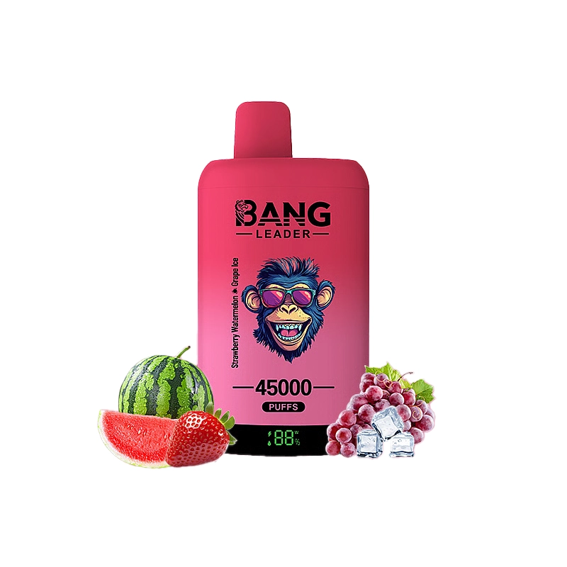 Bang Leader 45000 45K Puffs Double Taste LED Display Rechargeable Disposable Vape EU Warehouse - Image 6
