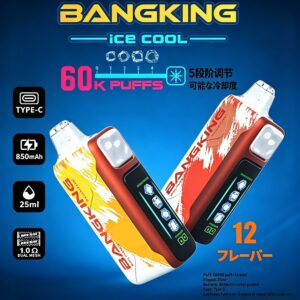 Bang King Ice Cool 60000 60K Puffs Adjustable Ice Level LED Display Disposable Vape Japan warehouse
