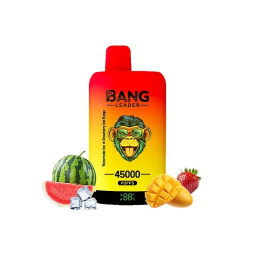 Bang Leader 45000 45K Puffs Double Taste LED Display Rechargeable Disposable Vape EU Warehouse - Image 4