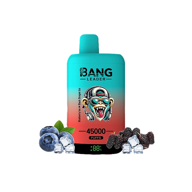 Bang Leader 45000 45K Puffs Double Taste LED Display Rechargeable Disposable Vape EU Warehouse - Image 3