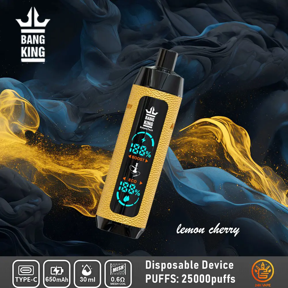 Bang King Shisha 25000 25K Puffs Newest LED Display Leather Disposable Vape Pen - Image 10